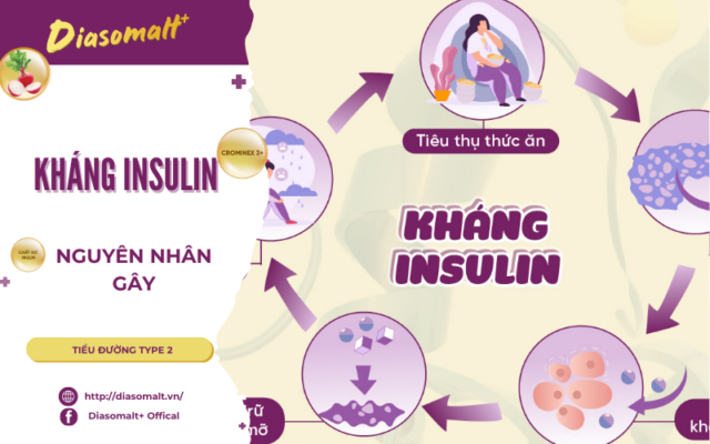 Kháng Insulin - Nguyên nhân gây Tiểu đường tuýp 2